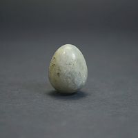 Яйцо из лабрадора