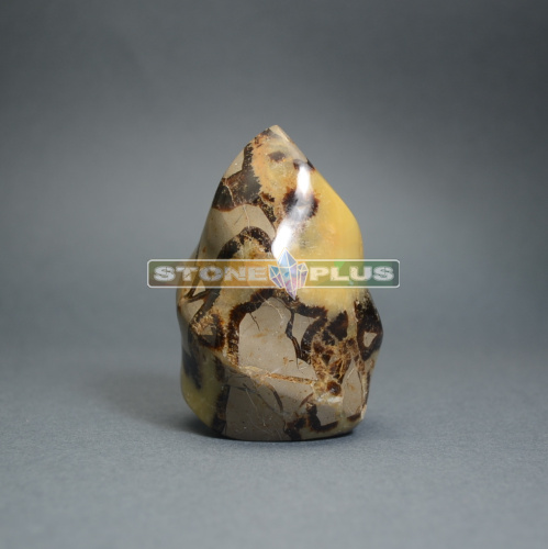 Септария 228 гр