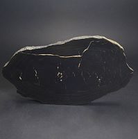 Срез окаменелого дерева (коллекционный) 1051 гр