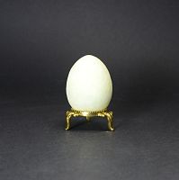 Яйцо флуоресцентное 48х36 мм