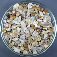 Окаменелый коралл галтовка 10-15 мм / 1 упаковка - 100 гр