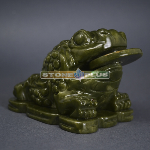 Жаба с монетой