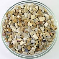 Окаменелый коралл галтовка 5-10 мм / 1 упаковка - 100 гр