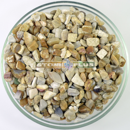 Окаменелый коралл галтовка 5-10 мм / 1 упаковка - 100 гр Окаменелый коралл галтовка 5-10 мм / 1 упаковка - 100 гр