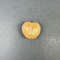 Окаменелый морской ёж малый №5