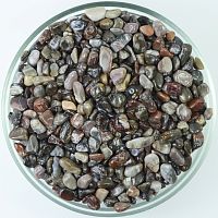 Окаменелое дерево галтовка 5-10 мм / 1 упаковка - 100 гр