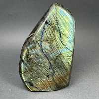 Лабрадор 1С №2 - 1190 гр