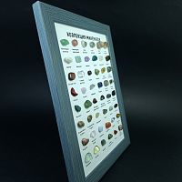 Коллекция минералов в рамке (Бирюзовый)