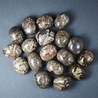 Яшма лесная галтовка / 1 упаковка - 100 гр